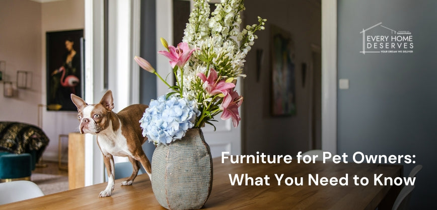 Pet Friendly Furniture | Every Home Deserves